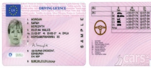 Photo Card Driving Licence